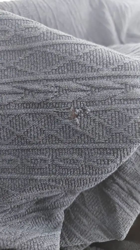 3999-شومیز پاییزه پگاه(ایراددار)